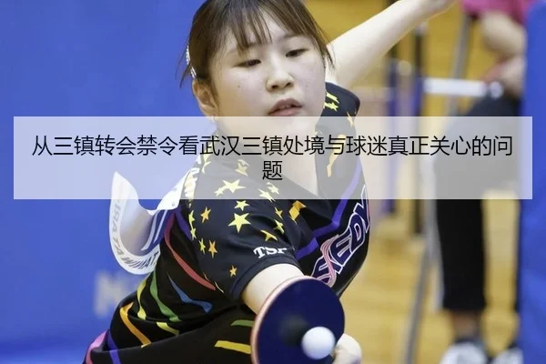 cong-san-zhen-zhuan-hui-jin-ling-kan-wu-han-san-zhen-chu-jing-yu-qiu-mi-zhen-zheng-guan-xin-de-wen-ti-2-352.jpg