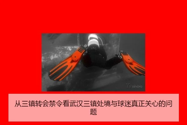 从三镇转会禁令看武汉三镇处境与球迷真正关心的问题